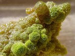 Pyromorphite - France, Morvan, Argentolle - Redsun -- 14/07/08