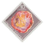 Bois p�trifi� (timbre) - Etats-Unis - 1974 -- 05/07/08