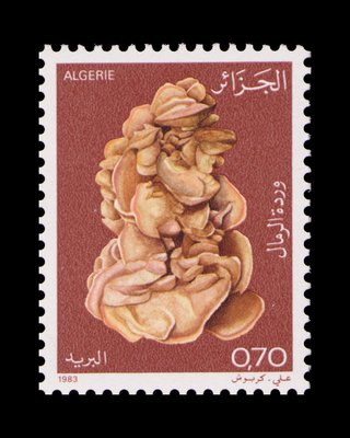 Rose des sables (timbre) - Algérie - 1983 -- 29/06/08 Rose des sables (timbre) - Algérie - 1983 -- 29/06/08